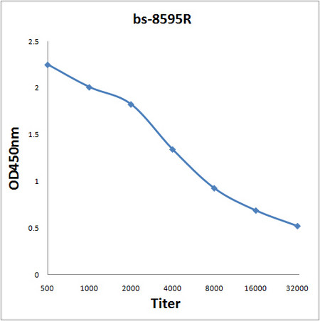 C9orf72 Antibody in ELISA (ELISA)