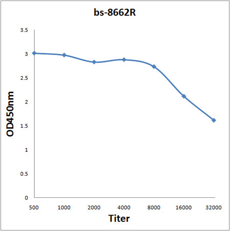 BASP1 Antibody in ELISA (ELISA)