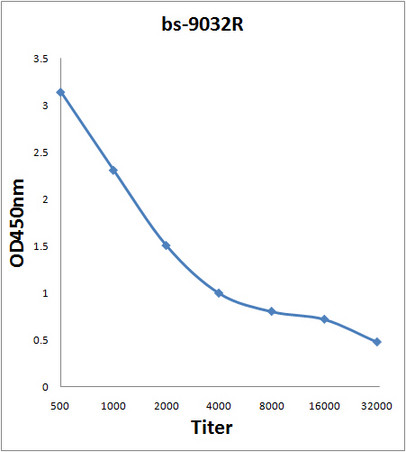 PBLD Antibody in ELISA (ELISA)