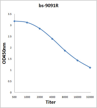 hnRNP A2B1 Antibody in ELISA (ELISA)