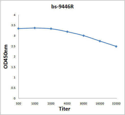 AMPK gamma 1/2/3 Antibody in ELISA (ELISA)