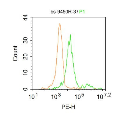 5 MethylCytosine Antibody in Flow Cytometry (Flow)