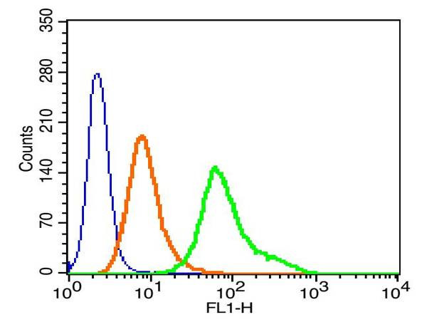 LAGY Antibody in Flow Cytometry (Flow)