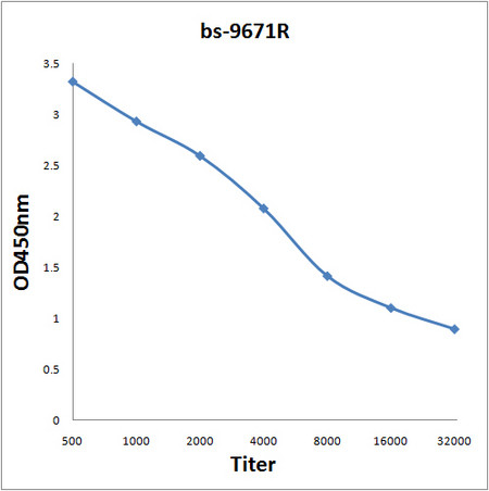 ASH1L Antibody in ELISA (ELISA)