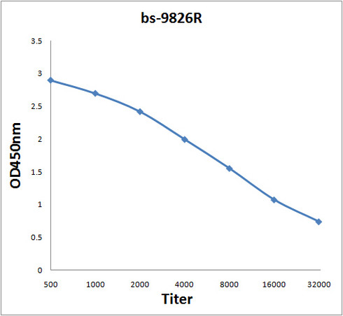 C3orf21/XXYLT1 Antibody in ELISA (ELISA)