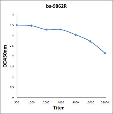 MYH7 Antibody in ELISA (ELISA)