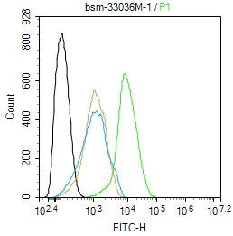 beta-Actin Antibody in Flow Cytometry (Flow)