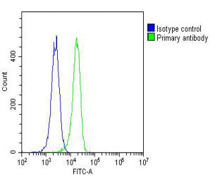 RAB27A Antibody in Flow Cytometry (Flow)