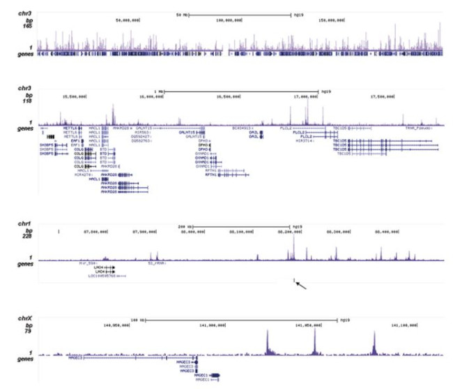 HDAC2 Antibody in ChIP-Sequencing (ChIP-seq)