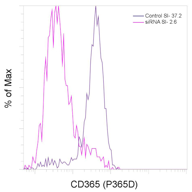 CD365 (Tim-1) Antibody in Flow Cytometry (Flow)