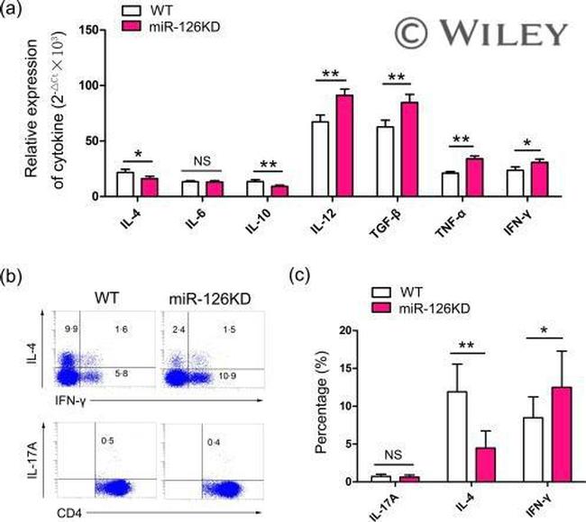 IL-17A Antibody in Flow Cytometry (Flow)