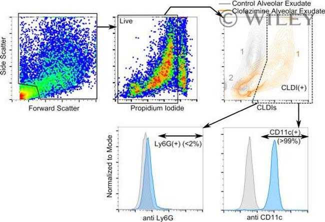 CD11c Antibody in Flow Cytometry (Flow)