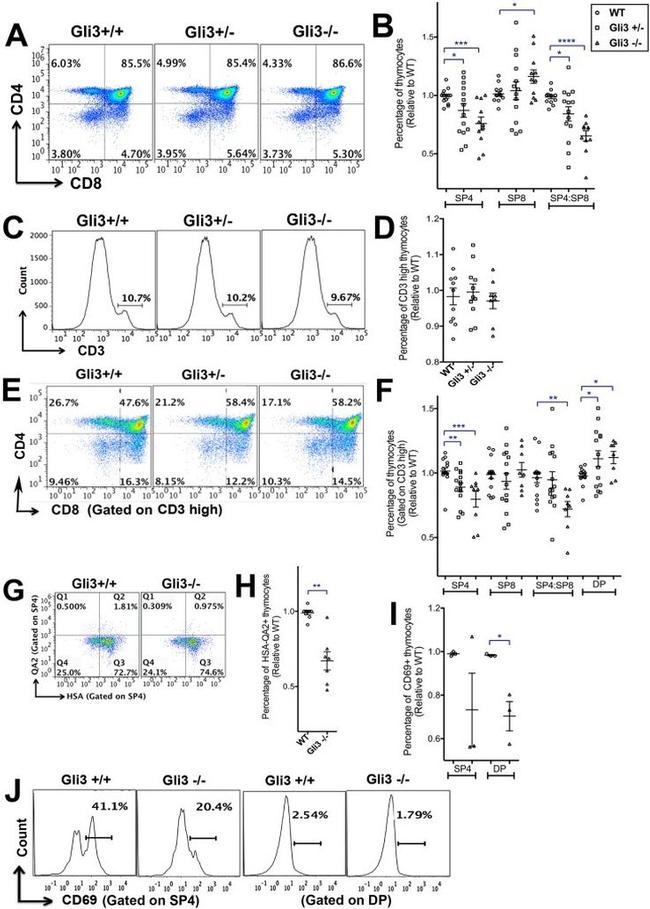 CD3e Antibody in Flow Cytometry (Flow)