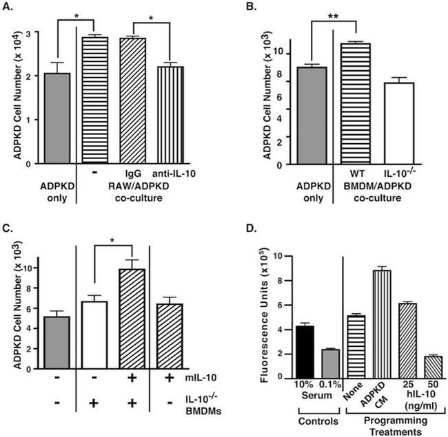 IL-10 Antibody in Neutralization (Neu)