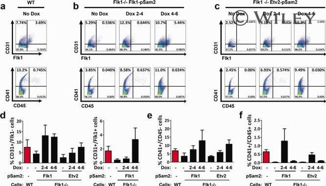 CD309 (FLK1) Antibody in Flow Cytometry (Flow)