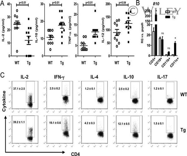 CD11b Antibody in Flow Cytometry (Flow)