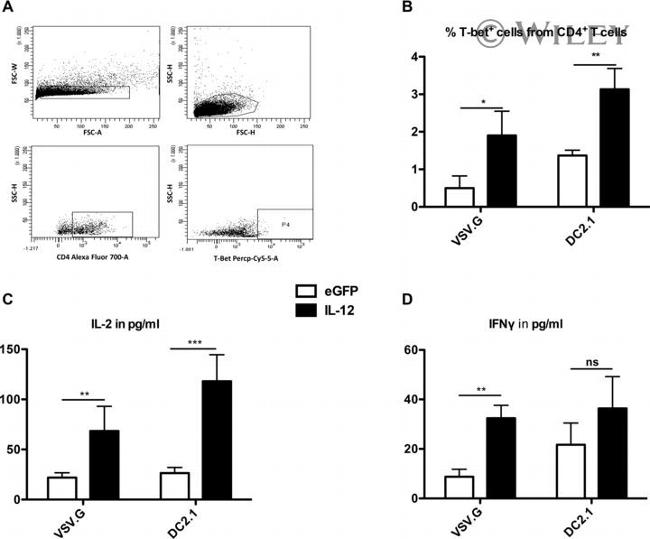 T-bet Antibody in Flow Cytometry (Flow)