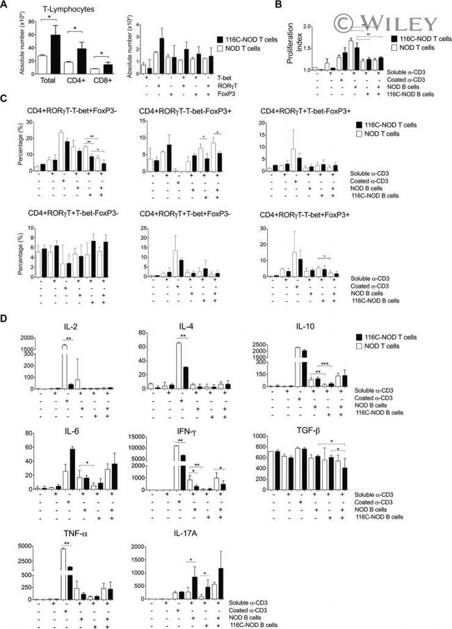 T-bet Antibody in Flow Cytometry (Flow)