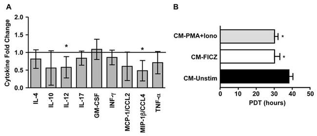 IL-10 Antibody in ELISA (ELISA)