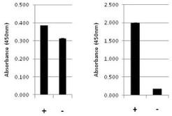 Multispecies ERK1/ERK2 (Total/Phospho) InstantOne™ ELISA Kit