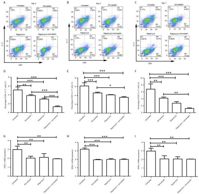 IL-17A Antibody in Flow Cytometry (Flow)