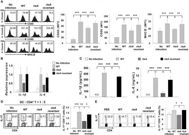 IL-17A Antibody in Flow Cytometry (Flow)