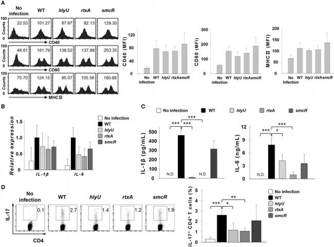 IL-17A Antibody in Flow Cytometry (Flow)