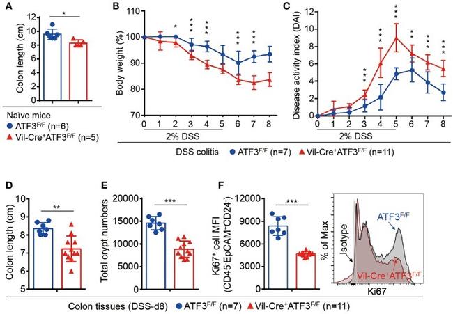 Ki-67 Antibody in Flow Cytometry (Flow)