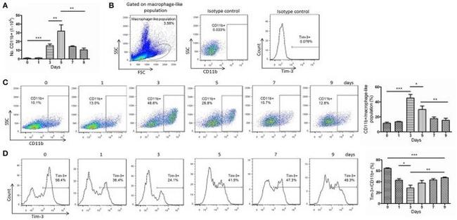 CD366 (TIM3) Antibody in Flow Cytometry (Flow)