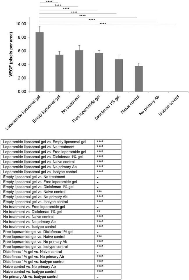 VEGF Antibody in Immunohistochemistry (IHC)