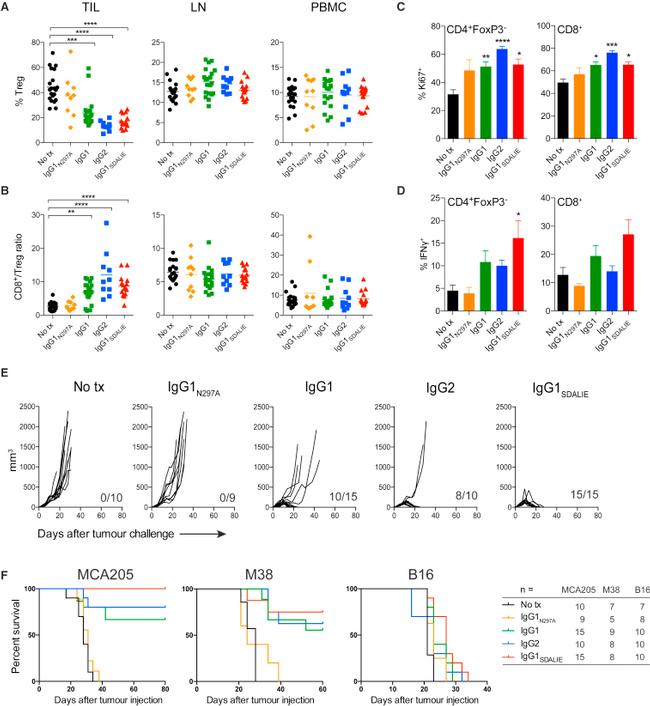 Ki-67 Antibody in Flow Cytometry (Flow)