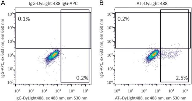 AGTR1 Antibody in Flow Cytometry (Flow)