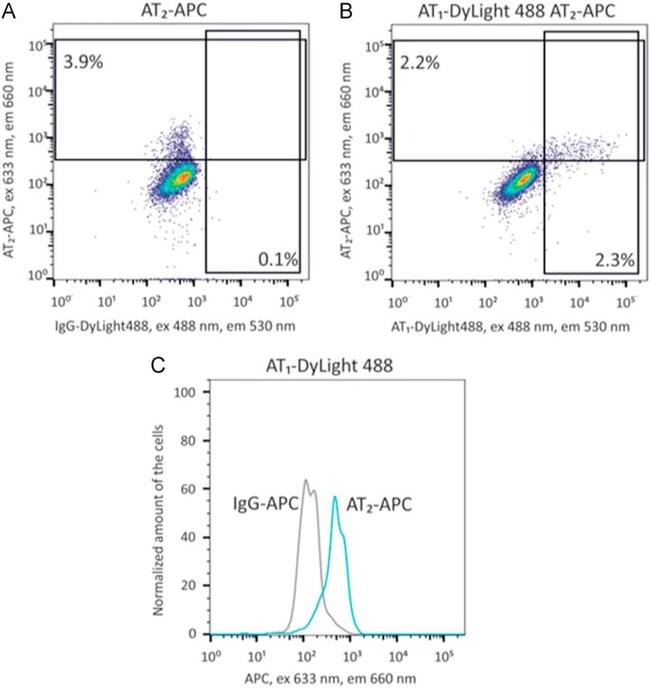 AGTR1 Antibody in Flow Cytometry (Flow)