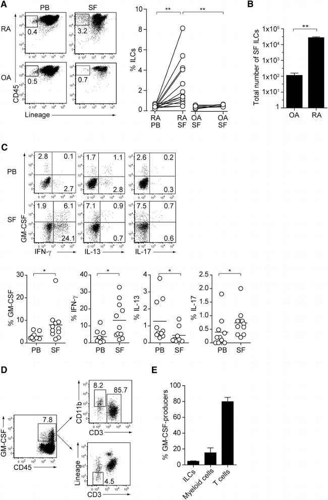 IL-13 Antibody in Flow Cytometry (Flow)