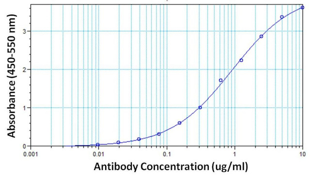 hCG beta Antibody in ELISA (ELISA)