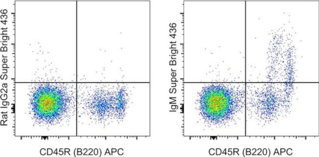 IgM Antibody in Flow Cytometry (Flow)