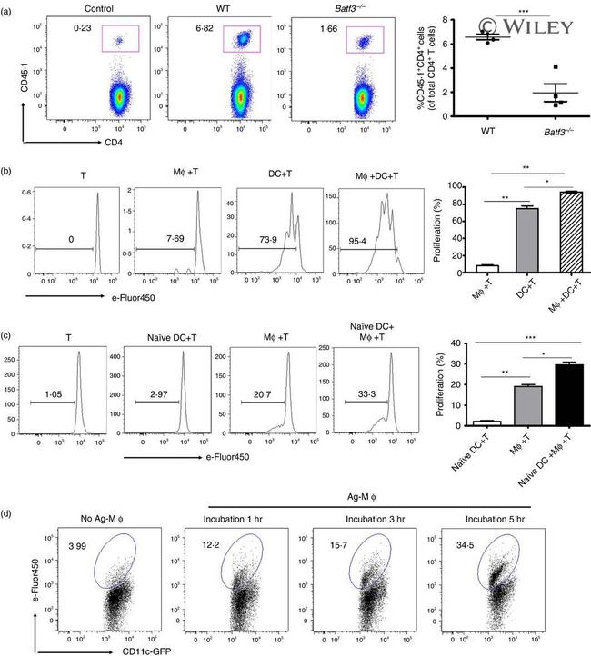 TCR V alpha 2 Antibody in Flow Cytometry (Flow)