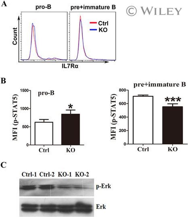 CD127 Antibody in Flow Cytometry (Flow)