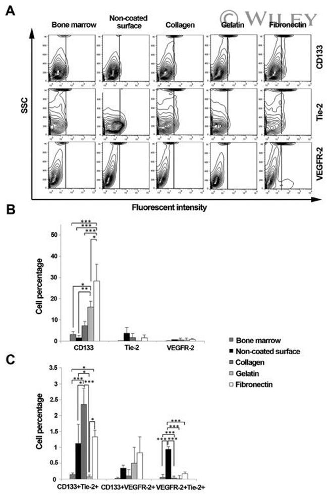 CD133 (Prominin-1) Antibody in Flow Cytometry (Flow)