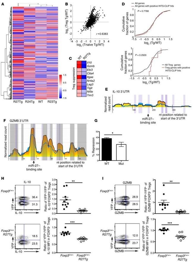 IL-10 Antibody in Flow Cytometry (Flow)