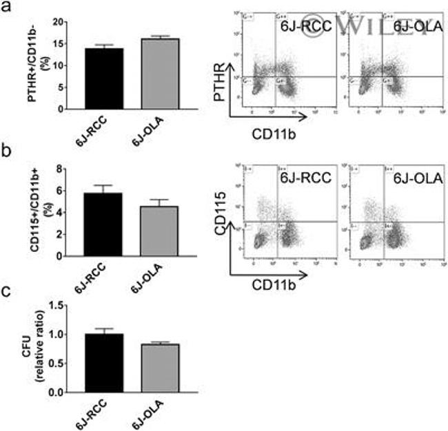 CD115 (c-fms) Antibody in Flow Cytometry (Flow)