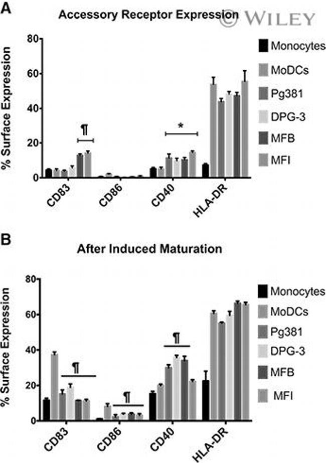 CD83 Antibody in Flow Cytometry (Flow)