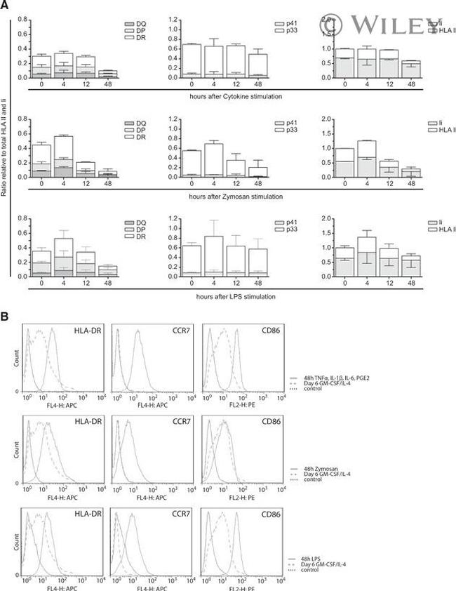 HLA-DR Antibody in Flow Cytometry (Flow)