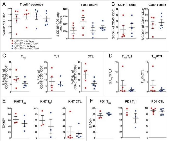 Ki-67 Antibody in Flow Cytometry (Flow)