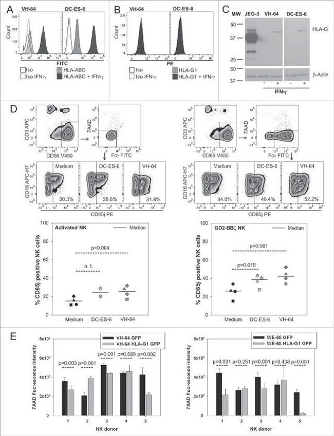 CD85j (ILT2) Antibody in Flow Cytometry (Flow)