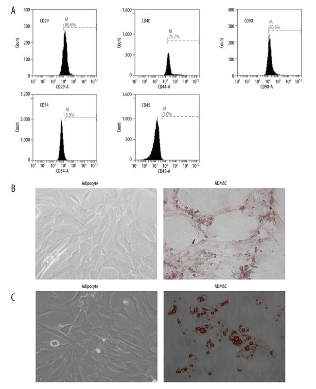 CD90.1 (Thy-1.1) Antibody in Flow Cytometry (Flow)