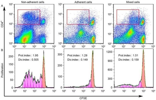 CD4 Antibody in Flow Cytometry (Flow)