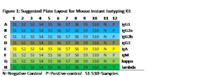 Mouse Ig Isotyping Instant ELISA™ Kit