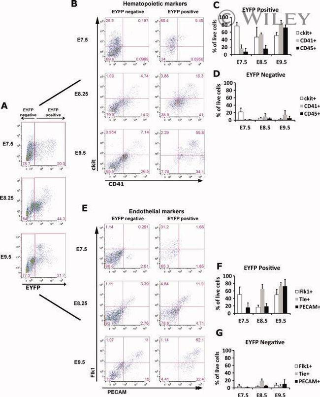 CD309 (FLK1) Antibody in Flow Cytometry (Flow)