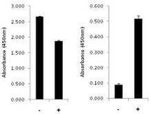 Human NFkB p65 (Total/Phospho) InstantOne™ ELISA Kit